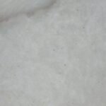 Coconut (Deeply hydrates, strengthens hair, reduces protein loss, and protects against damage)